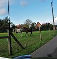 Toeristische rondrit op 29-9-2012 (31)